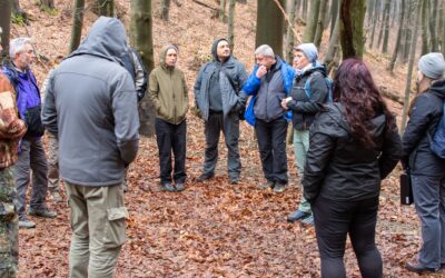 Education for bat monitoring experts in Bulgaria